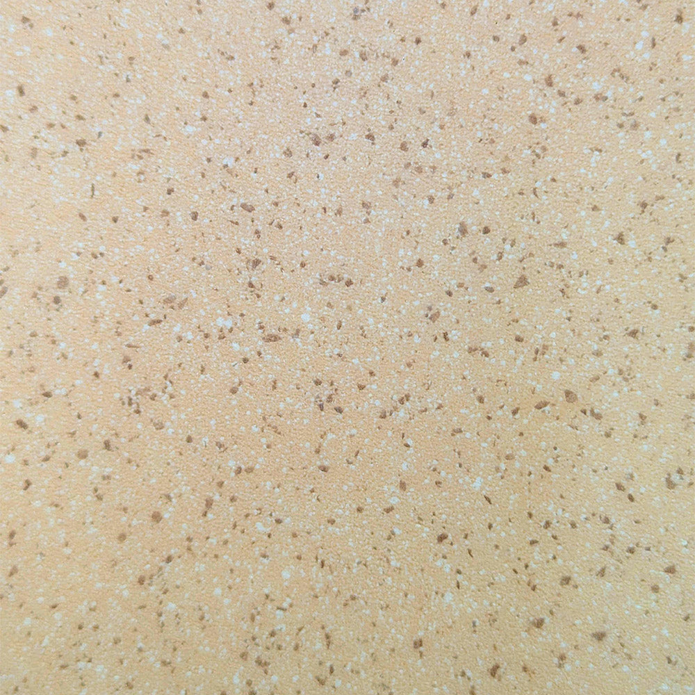 Speckle Vinyl Heavy Duty Flooring 2m Wide Roll R10 Anti-Slip Coating